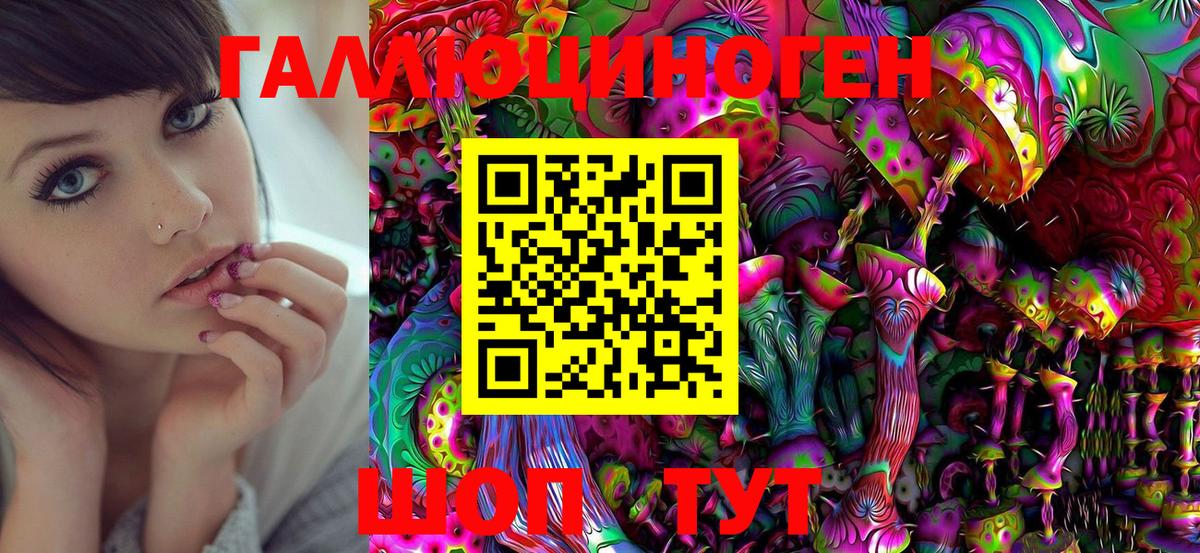 Галлюциногенные грибы Psilocybe  Вход с VPN  Сатка 